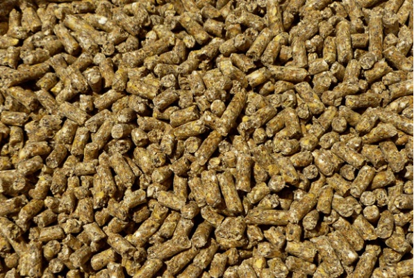 SOYBEAN MEAL